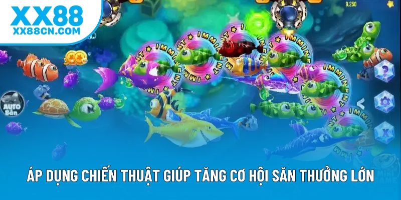 Áp dụng chiến thuật giúp tăng cơ hội săn thưởng lớn