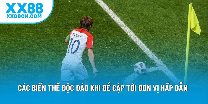 Các biến thể độc đáo khi đề cập tới đơn vị hấp dẫn Các biến thể độc đáo khi đề cập tới đơn vị hấp dẫn