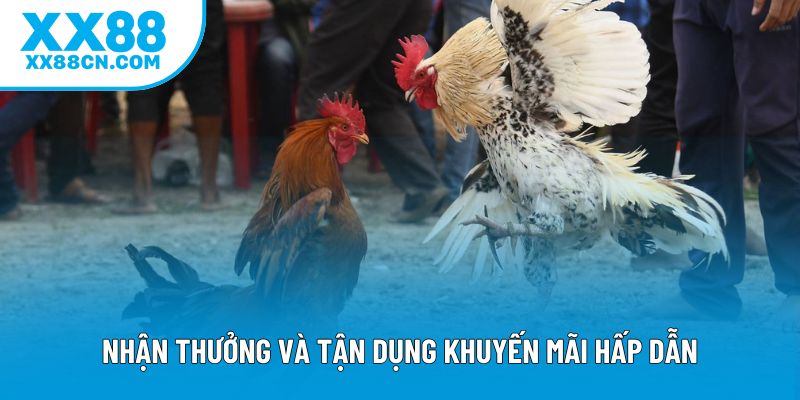 Nhận thưởng và tận dụng khuyến mãi hấp dẫn