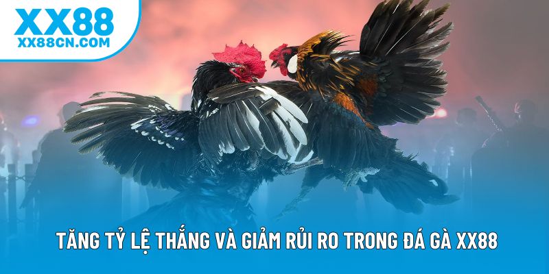Tăng tỷ lệ thắng và giảm rủi ro trong đá gà XX88